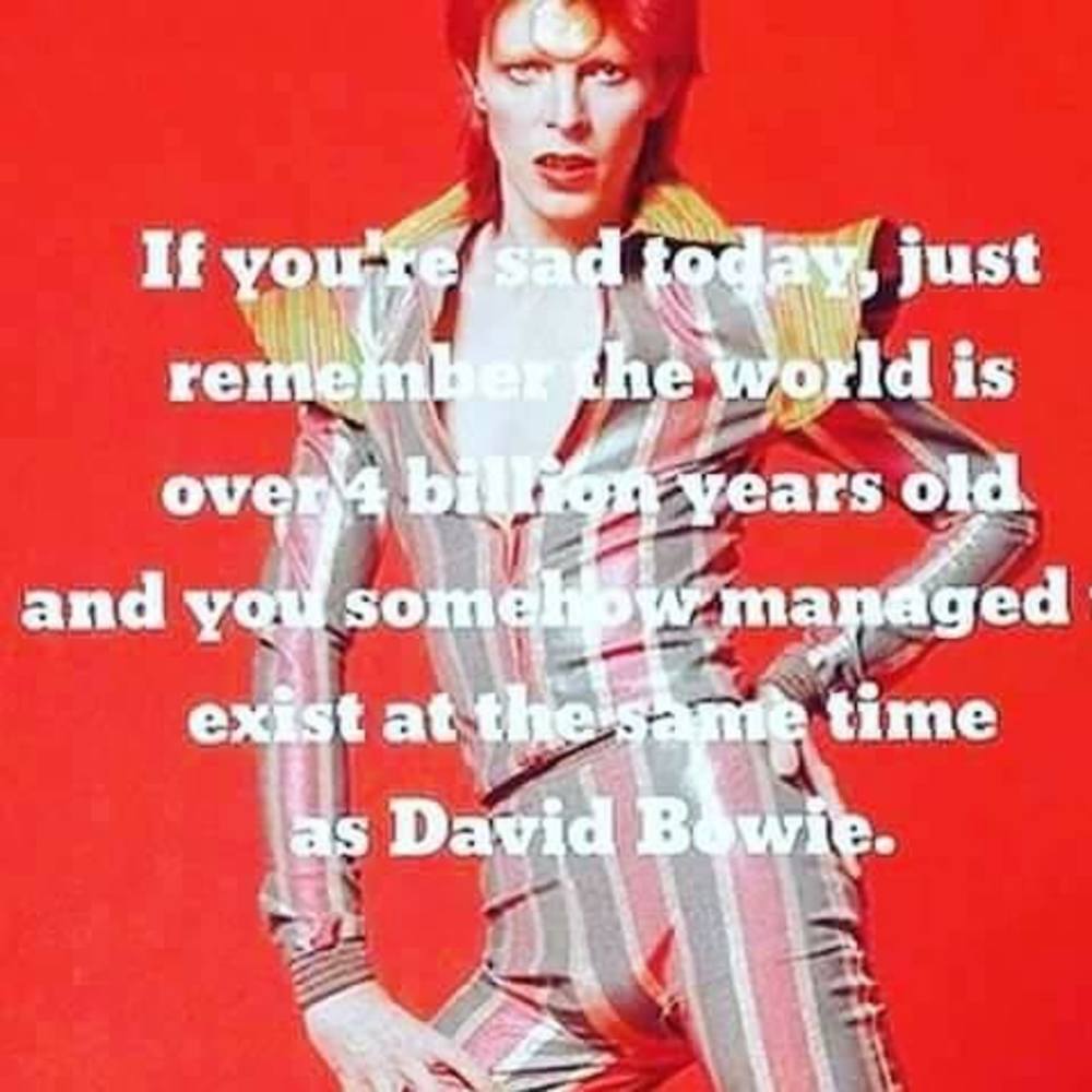 Meet your Posher, Coral